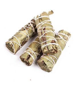 Eucalyptus Smudge Stick