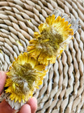 Sunflower White Sage Smudge Stick