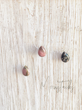 Charlotte Rhodonite Necklace